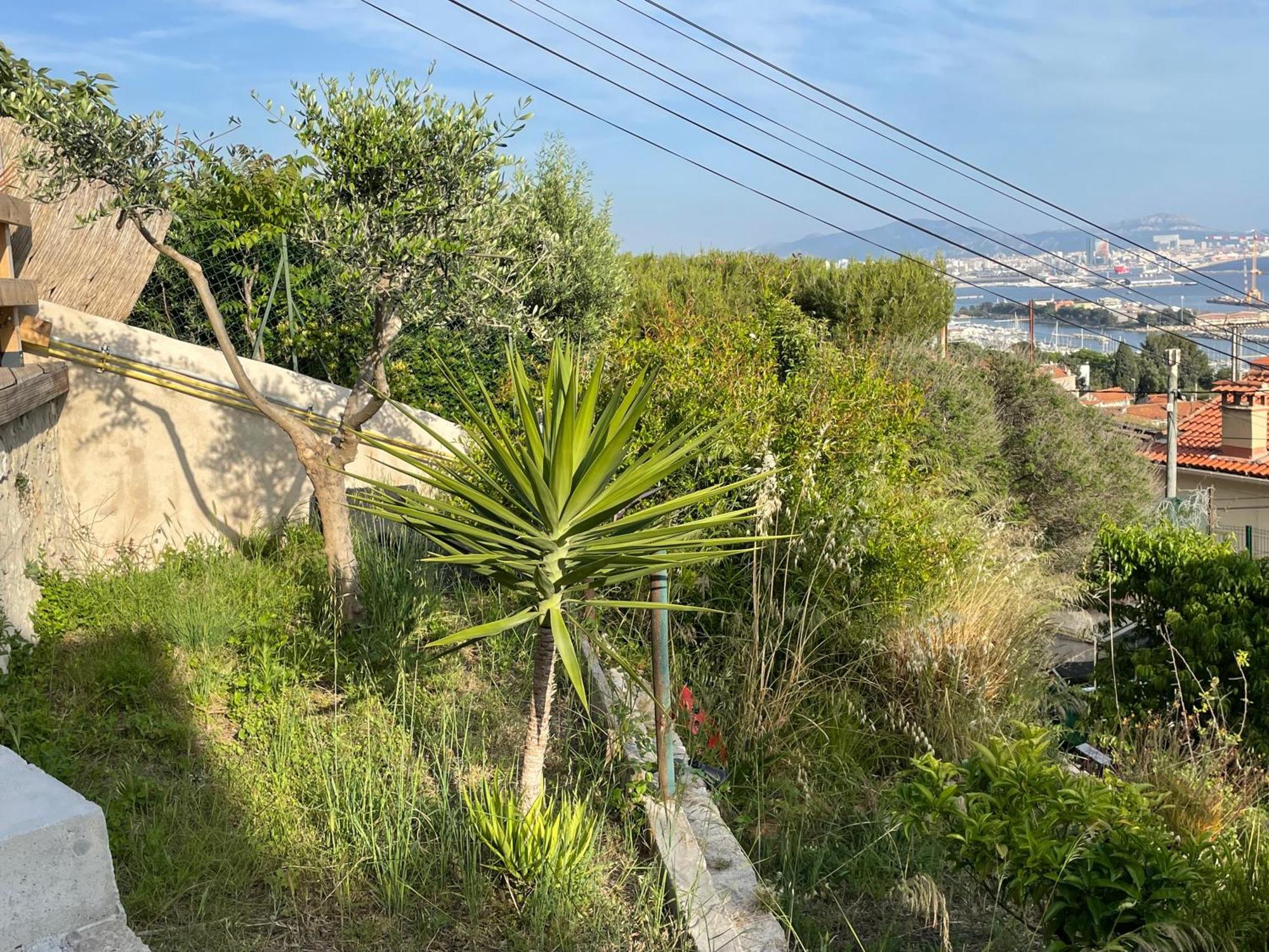 Magnifique Vue Sur La Mer ... Marseille Bagian luar foto